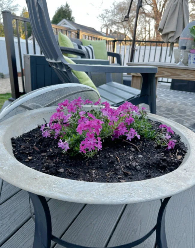 outdoor planter with flowers on deck