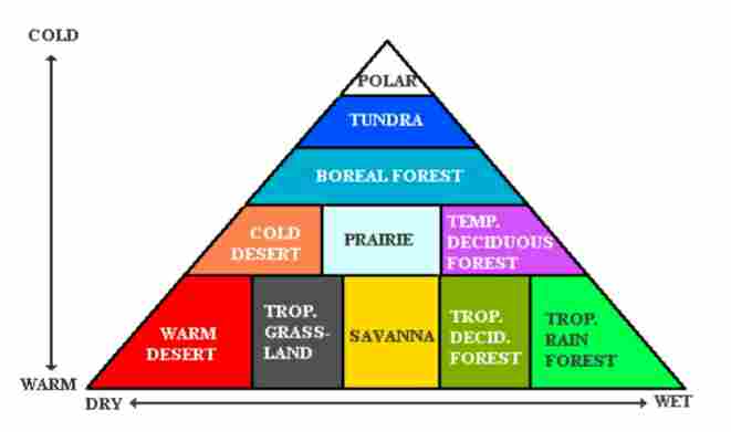 Levels of Organization in Ecology UPSC