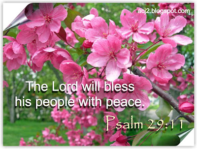 bless people with peace