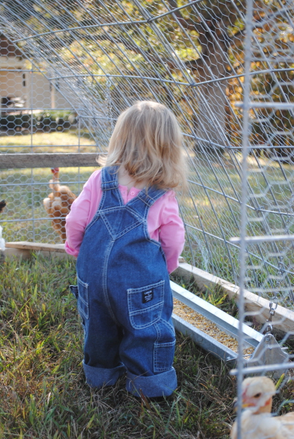 Adventures on Zephyr Hill Farm: Farmer Girl Charis (Friday ...
