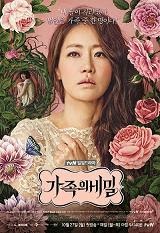 Drama Korea Family Secrets