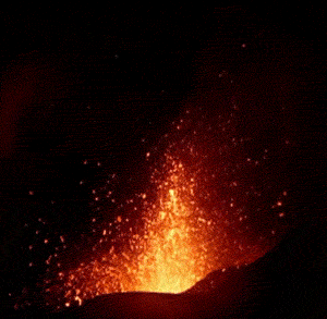 giphy (5)