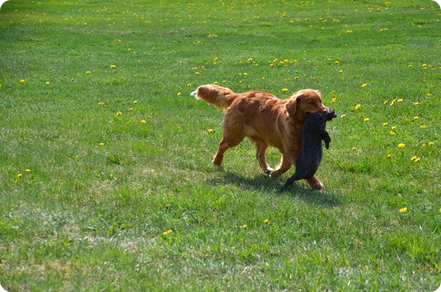 DSC_0208 DSC_0208