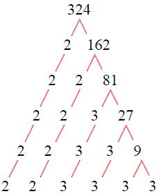 Factor Tree of 324