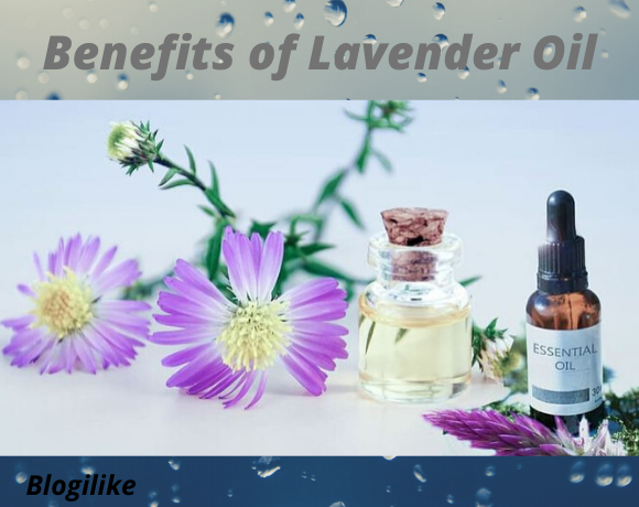 Lavender Oil