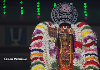 Yaanai Vahanam,Ippasi,purappadu,Thiruvallikeni, Thirumoolam,Sri Parthasarathy Perumal,Manavala Maamunigal,Varavaramuni, Temple, 2017, Video, Divya Prabhandam,Utsavam,