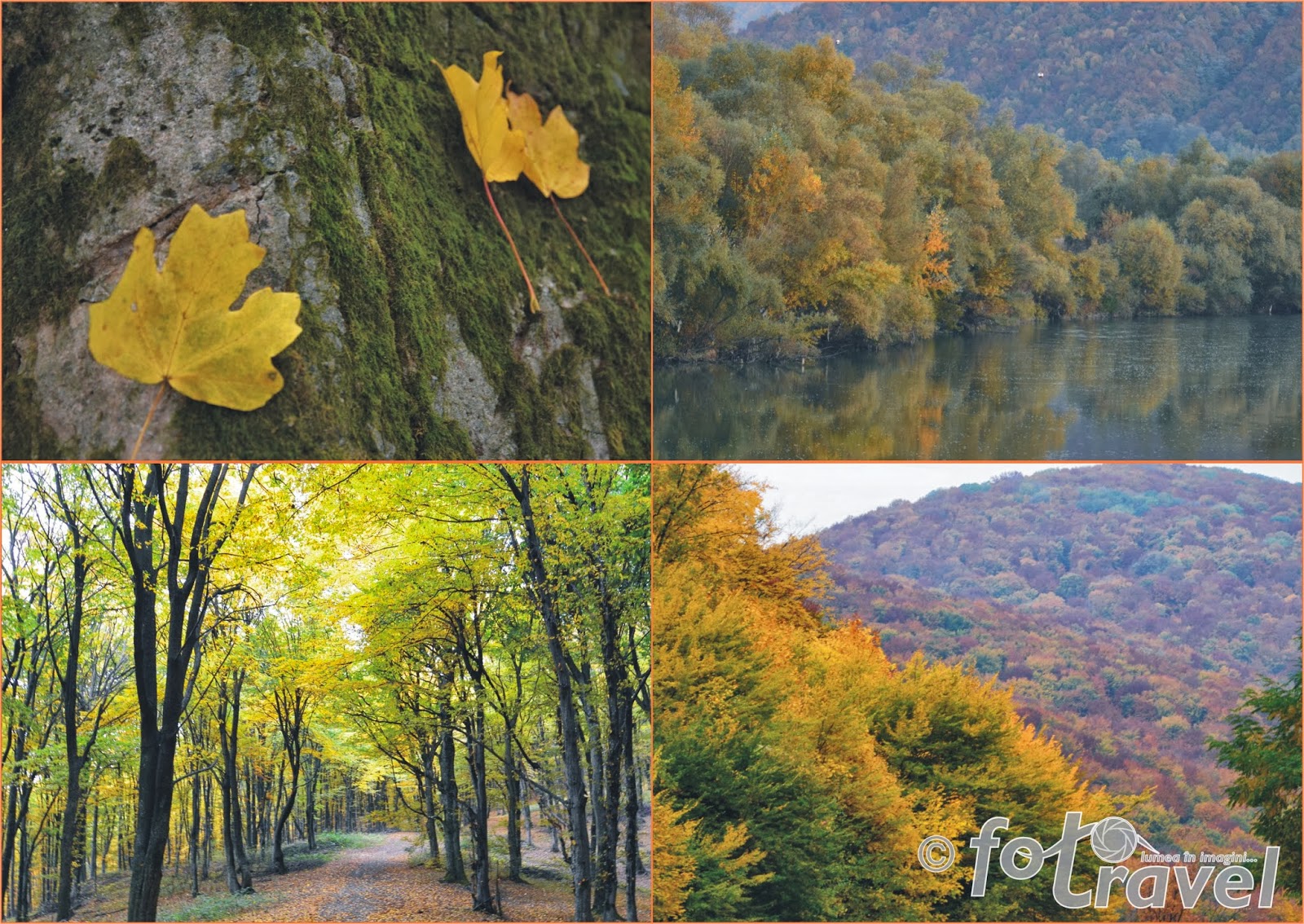 Foto Travel Culorile Toamnei Sălăjene Galerie Foto