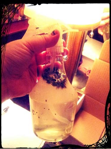 Morags Cleansing And Blessing Spray And Protective Wards