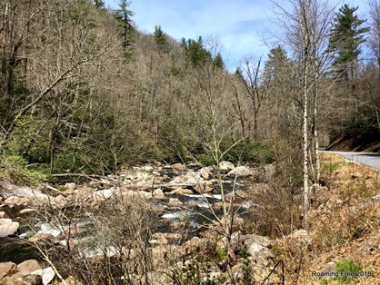 Looking downriver