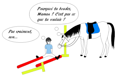 chute obstacle cso peur équitation