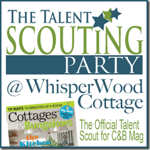 talent-scout-button-2