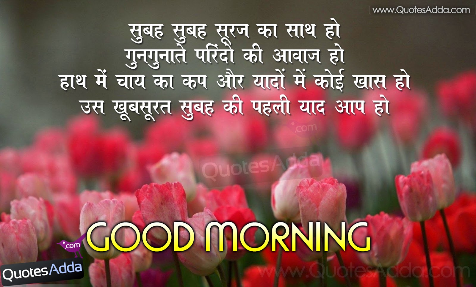 Good Morning New Shayari in Hindi | Quotes Adda.com | Telugu Quotes ...