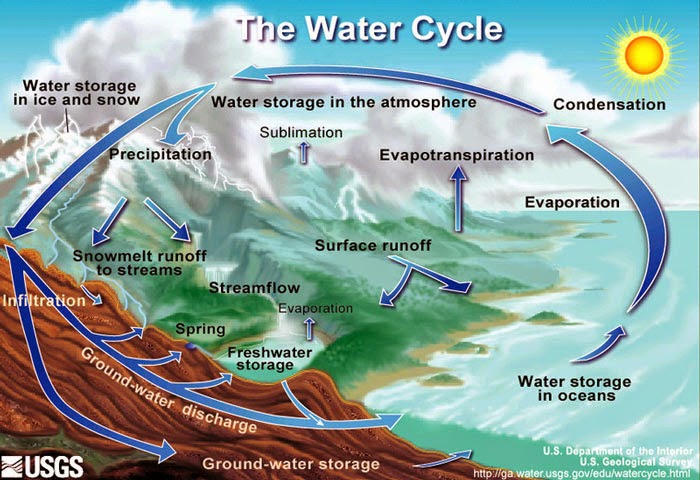 http://www.sciencekids.co.nz/sciencefacts/weather/thewatercycle.html