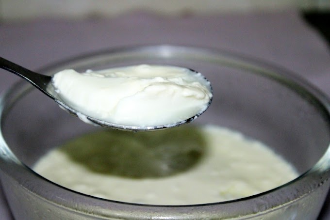 How To Making Curd Recipe At Home 