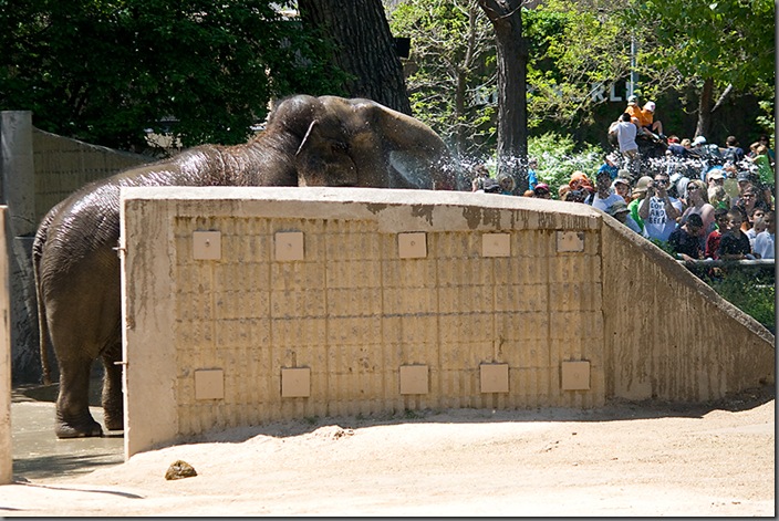 Zoo