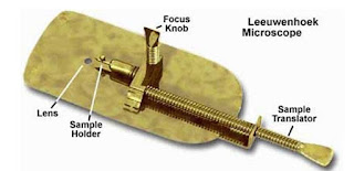 Anton van Leeuwenhoek Neyi İcat Etti? 