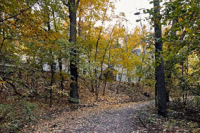 Воробьёвы горы, офис «Лукойл персонал»