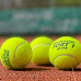 Where is the oldest tennis club in the world?