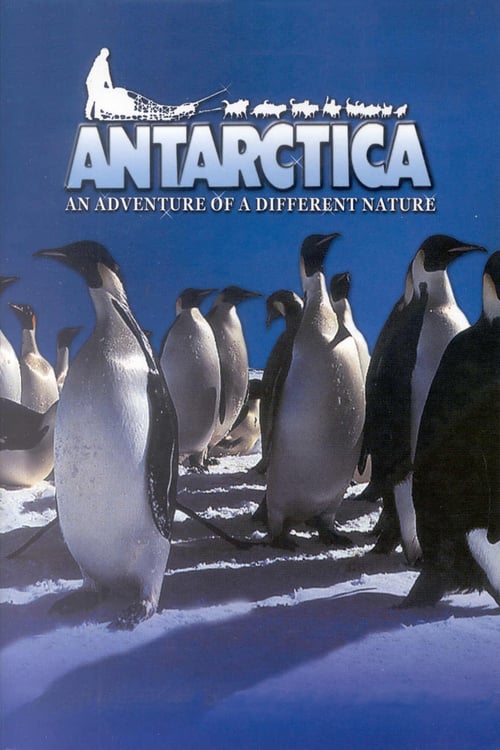 Antarctica 1991 Film Completo In Italiano Gratis