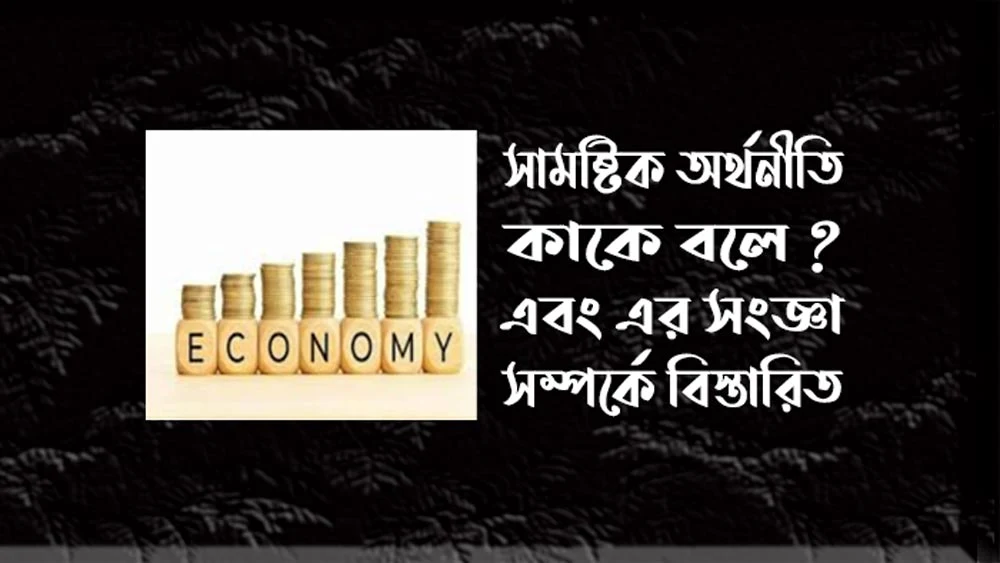 সামষ্টিক অর্থনীতি কাকে বলে - সামষ্টিক অর্থনীতির সংজ্ঞা