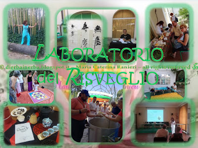 Docente del Corso di Erboristeria “Di Erba in Erba©” Cromoterapeuta - Cromoestetica Floriterapeuta Mediterranea - esperta di Cosmesi naturale personalizzata, Consulente naturopata - vasta esperienza anche con bimbi e anziani -  Istruttore di “Tai Chi Chuan” e di “Tai Chi Kung” dello Stile Yang,della International Family Tai Chi Chuan Association e dell’ASC Sport – Ente di Promozione sportiva riconosciuta dal CONI -http://dierbainerba.blogspot.it - © Maria Caterina Ranieri – all rights reserved ॐ