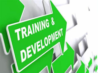 Implementing Effective Employee Training and Development Programs: