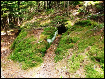 Hiking to Ocean Overlook (37)