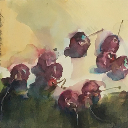 Cherries
