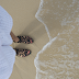 Travel: Thailand in Pictures