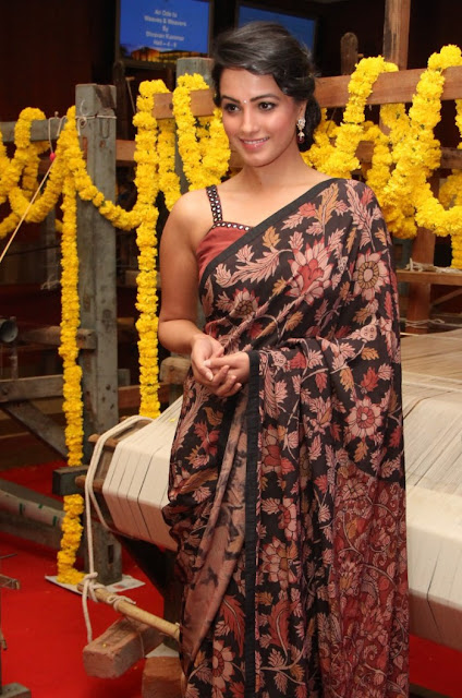 actress anitha in saree