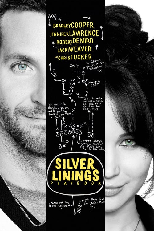 Il Lato Positivo - Silver Linings Playbook 2012 Film Completo Online Gratis