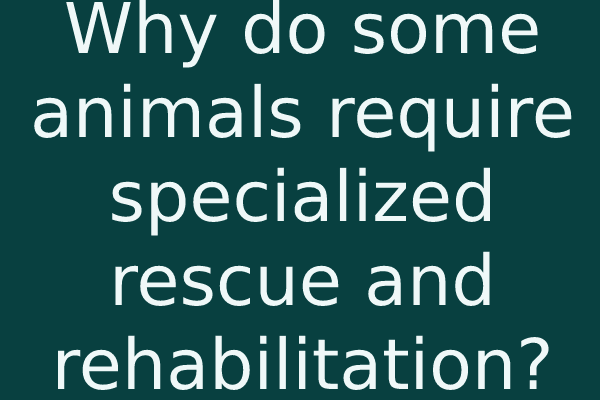 Why do some animals require specialized rescue and rehabilitation?