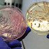 Revelan cómo las bacterias depredadoras se protegen al atacar a otros microorganismos