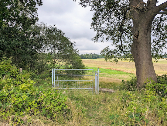 Go through the gate then head SE with the woodland on your left