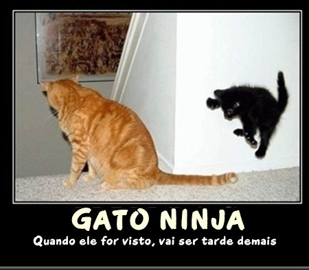 Gatos Ninjas