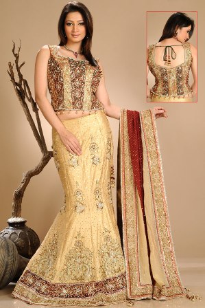 Choli-Style-Designs