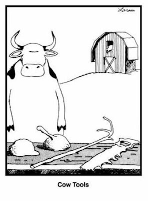 A single panel cartoon that depicts a cow standing on its hind legs at a table, on which four oddly-shaped objects are placed. One object resembles a crude hand saw, while the others are more abstract. The caption simply reads "Cow tools."
