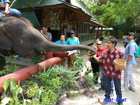 Elephant Village Damnoen Saduak Housing