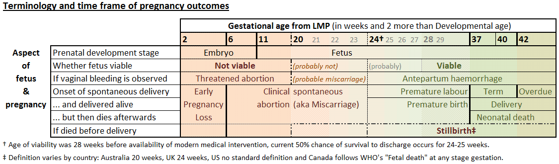 miscarriage at 7 weeks. miscarriage at 7 weeks.