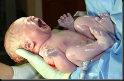 newborn_baby