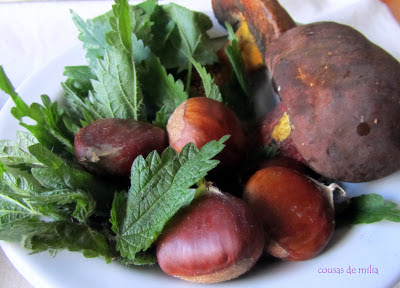 Crema de ortigas, boletus y castañas