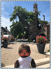 chêne d'alouville normandie, Abbé du détroit, notre-dame-de la paix, kiki, monchhichi, bebichhichi