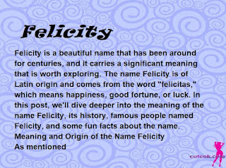 meaning of the name "Felicity"