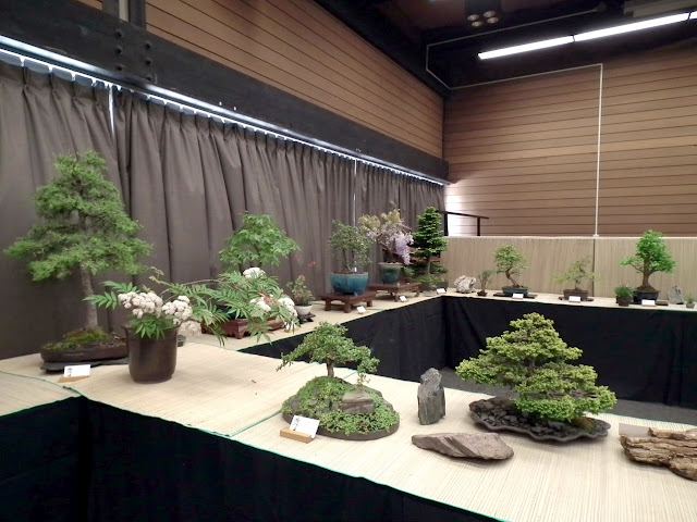  Taguchi Bonsai Club - 2011 Spring Show, Vandusen, Vancouver