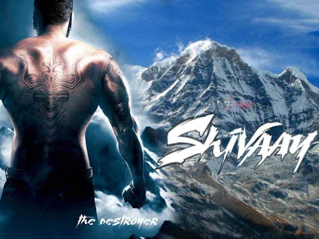 Shivaay 13th Day Collection