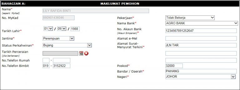 Kemaskini dan Permohonan BR1M 2017 - Budak Bandung Laici