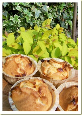 muffin monday 1