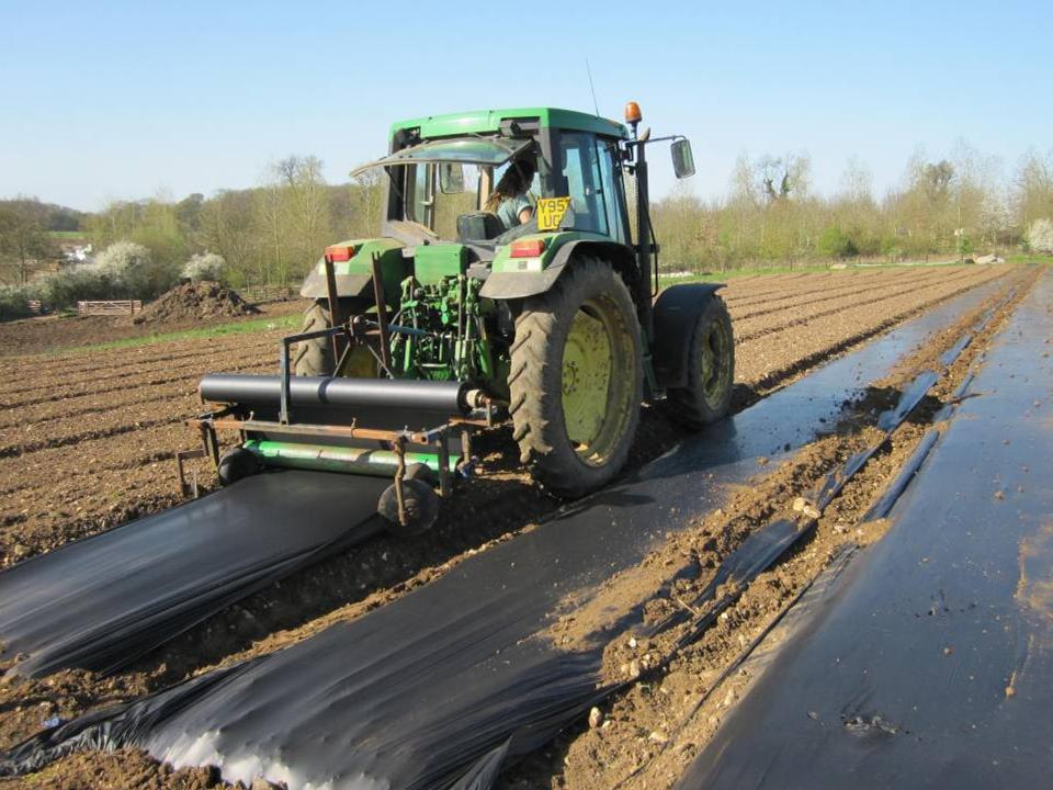 Plastic Mulch