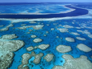 Belize Barrier