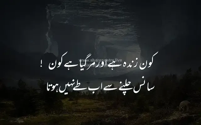 Zindagi Deep Shayari collection in urdu-sharepoetry.live (20)